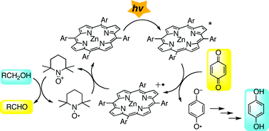 Graphical abstract: Photooxidation of alcohols by a porphyrin/quinone/TEMPO system