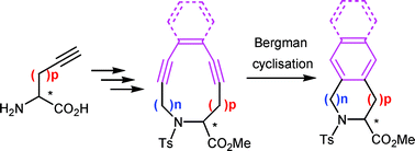 Graphical abstract: Synthesis and aromatisation of cyclic enediyne-containing amino acids