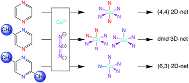 Graphical abstract: Methyl groups control coordination number, stoichiometry, network and magnetism in a Cu(ii)-azide-pyrazine (6,3) 2D net