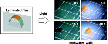 Graphical abstract: Photomobile polymer materials—various three-dimensional movements