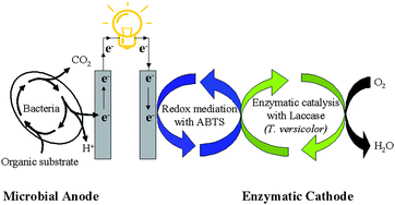 Graphical abstract: An improved microbial fuel cell with laccase as the oxygen reduction catalyst