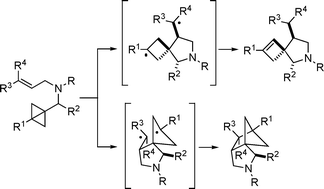 Graphical abstract: An ESR analysis of the mechanism of pericyclic reactions of bicyclobutane