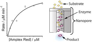 Graphical abstract: Enzymatic activity of surface-immobilized horseradish peroxidase confined to micrometer- to nanometer-scale structures in nanocapillary array membranes