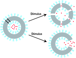 Graphical abstract: Stimuli-responsive polymer vesicles