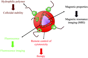 Graphical abstract: Hybrid gadolinium oxide nanoparticles combining imaging and therapy