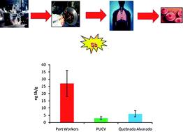 Graphical abstract: Heavy weight vehicle traffic and its relationship with antimony content in human blood