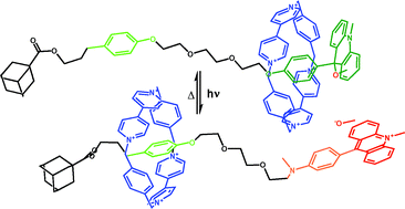 Graphical abstract: Photoswitchable rotaxanes using the photolysis of alkoxyacridanes