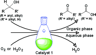 Graphical abstract: Applications of a high performance platinum nanocatalyst for the oxidation of alcohols in water