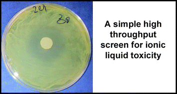 Graphical abstract: A high throughput screen to test the biocompatibility of water-miscible ionic liquids