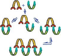 Graphical abstract: Multivalent ligand presentation as a central concept to study intricate carbohydrate–protein interactions