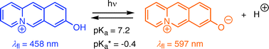 Graphical abstract: Excited-state acidity of the 8-hydroxyacridizinium ion—a water-soluble photoacid