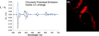Graphical abstract: Comparative study of the constitution and chiroptical properties of emissive terbium and europium complexes with a common tetraazatriphenylene sensitiser; the nature of the sensitiser determines quenching sensitivity and cellular uptake
