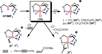 Graphical abstract: Synthesis and reactivity of the novel hydride derivative RhHCl(TIMP3) (HTIMP3 = tris[1-(diphenylphosphino)-3-methyl-1H-indol-2-yl]methane)