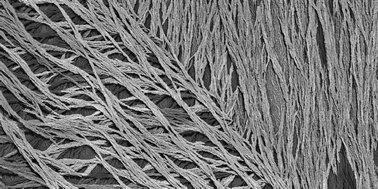 Graphical abstract: Polymer stabilisation of twisted smectic liquid crystal defect states