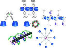 Graphical abstract: Cyclodextrin-based bioactive supramolecular assemblies