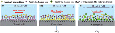 Graphical abstract: Impact of leakage current and electrolysis on FET flow control and pH changes in nanofluidic channels