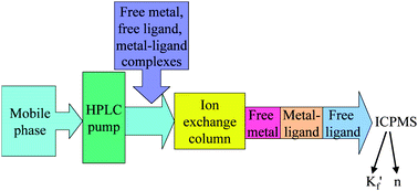 Graphical abstract: Determination of stability constants of metal complexes with IC-ICP-MS