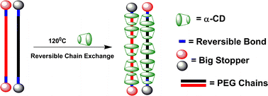 Graphical abstract: Construction of polyrotaxanes via reversible chain exchange between acylhydrazone bonds