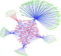 Graphical abstract: HPC2 and ubinuclein define a novel family of histone chaperones conserved throughout eukaryotes