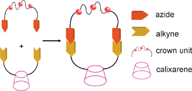 Graphical abstract: Synthesis of calix[4]crowns containing soft and hard ion binding sites via click chemistry