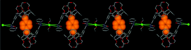 Graphical abstract: Self-assembly of heteroditopic calix[4]arene capsules through ion-pair recognition