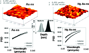 Graphical abstract: In-depth nano-scale analysis of complex interactions of Hg with gold nanostructures using AFM-based power spectrum density method