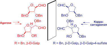 Graphical abstract: Production of carbohydrate building blocks from red seaweed polysaccharides. Efficient conversion of galactans into C-glycosyl aldehydes