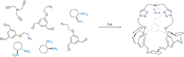 Graphical abstract: One-step synthesis of chiral cages