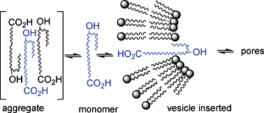 Graphical abstract: Structure–activity relationships in linear oligoester ion-channels