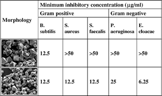 Graphical abstract: Morphology effect on antibacterial activity of cuprous oxide