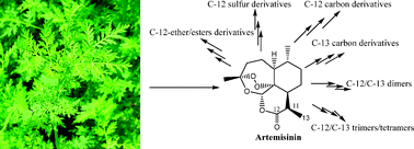 Graphical abstract: Artemisinin and its derivatives: a novel class of anti-malarial and anti-cancer agents