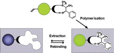 Graphical abstract: Fluorescent imprinted polymer sensors for chiral amines