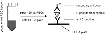 Graphical abstract: A microfluidic technique for monitoring bloodstream analytes indicative of C-peptide resistance in type 2 diabetes