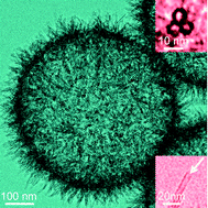Graphical abstract: One-pot synthesis of nanotube-based hierarchical copper silicate hollow spheres