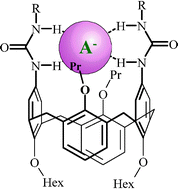 Graphical abstract: Anion recognition by diureido-calix[4]arenes in the 1,3-alternate conformation