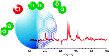 Graphical abstract: The importance of phase in the radical-initiated oxidation of model organic aerosols: reactions of solid and liquid brassidic acid particles