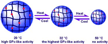 Graphical abstract: Smart microgel catalyst with modulatory glutathione peroxidase activity