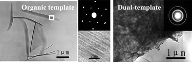 Graphical abstract: Biomimetic syntheses of pure or doped metal hydroxide nitrate thin films by a dual-template approach