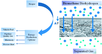 Graphical abstract: Membrane-based technologies for biogas separations