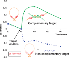 Graphical abstract: A thermodynamic study of ferrocene modified hairpin oligonucleotides upon duplex formation: applications to the electrochemical detection of DNA