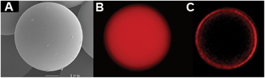 Graphical abstract: Modification and optimization of organosilica microspheres for peptide synthesis and microsphere-based immunoassays