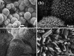 Graphical abstract: Self-assembly of palladium nanoparticles: synthesis of nanobelts, nanoplates and nanotrees using vitamin B1, and their application in carbon–carbon coupling reactions