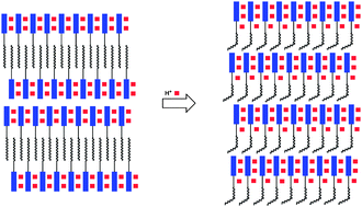 Graphical abstract: Proton switching of polarity in metalloamphiphile crystals