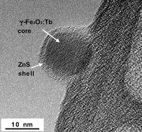 Graphical abstract: Tb-doped iron oxide: bifunctional fluorescent and magnetic nanocrystals