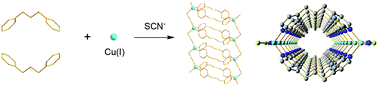 Graphical abstract: An infinite photoluminescent coordination nanotube [CuSCN(L)]·(DMF)0.5