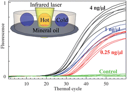 Graphical abstract: Petri dish PCR: laser-heated reactions in nanoliter droplet arrays