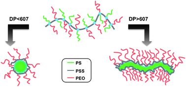 Graphical abstract: Amphiphilic brushes from metallo-supramolecular block copolymers