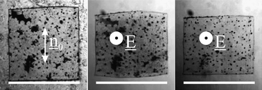 Graphical abstract: Deformation and rotations of free nematic elastomers in response to electric fields