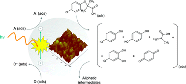 Graphical abstract: Anatase vs.rutile efficiency on the photocatalytic degradation of clofibric acid under near UV to visible irradiation