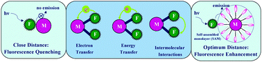 Graphical abstract: Photophysical aspects of molecular probes near nanostructured gold surfaces